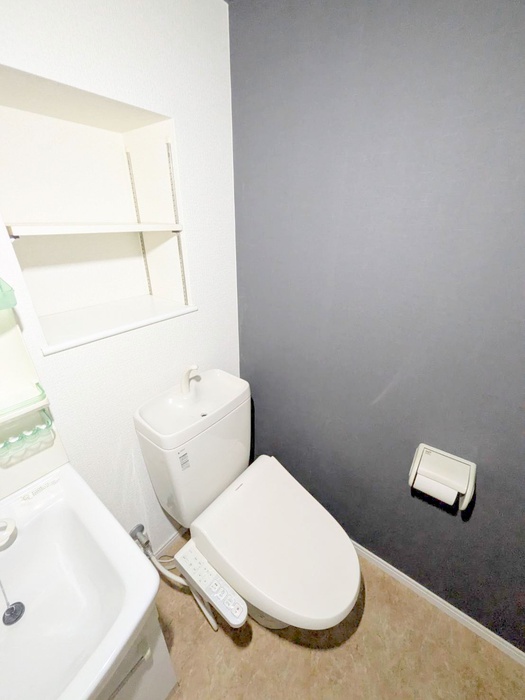 ダイワティアラ津田沼IIのトイレ写真