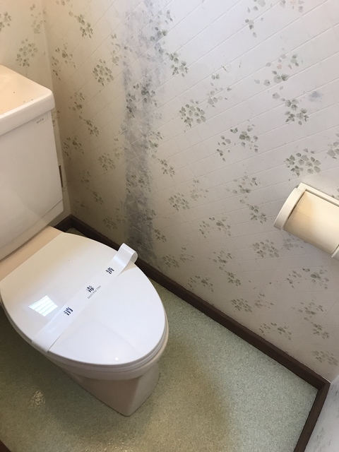 湘南新宿ライン高海 高崎問屋町駅 徒歩15分 2階建 築36年のトイレ写真