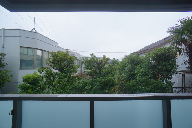 眺望　お部屋前には緑があるので、心癒されますね☆