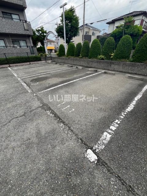 マウンティン・ツーのその他写真