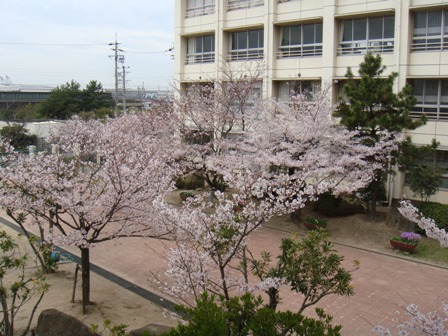 中学校　播磨南中学校（中学校）まで1369m