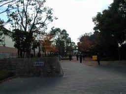 公園　祇園橋緑地（公園）まで841m