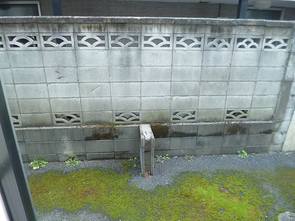 京王線 仙川駅 徒歩14分 2階建 築29年の内装写真