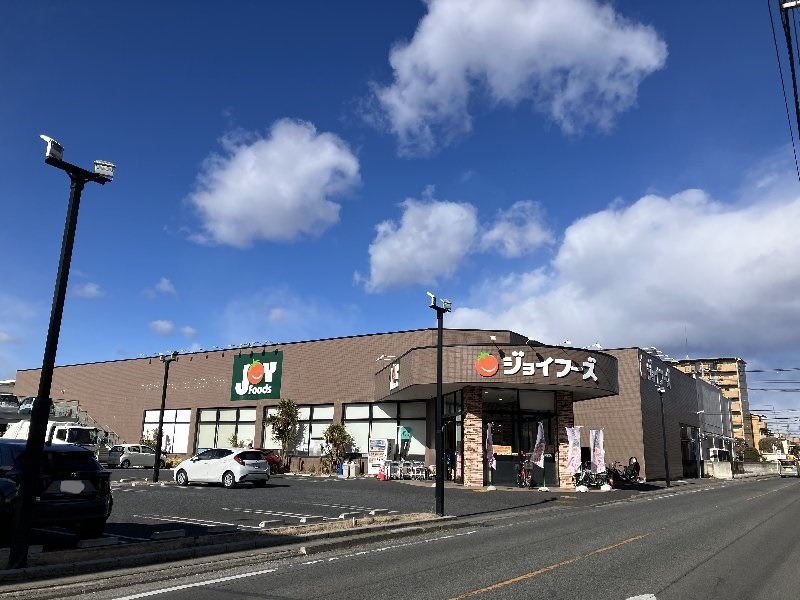 スーパー　ジョイフーズ前橋南店（スーパー）まで501m