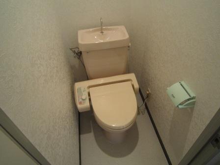 ハイアットマンションアヴィのトイレ写真
