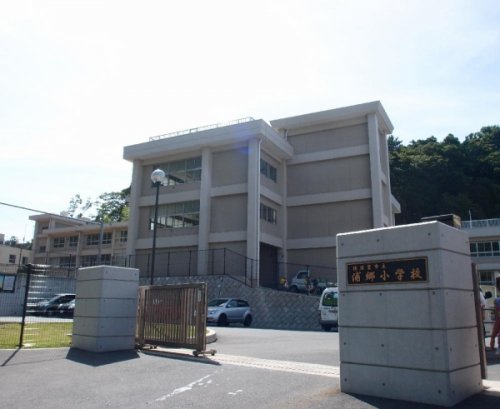 小学校　浦郷小学校（小学校）まで805m