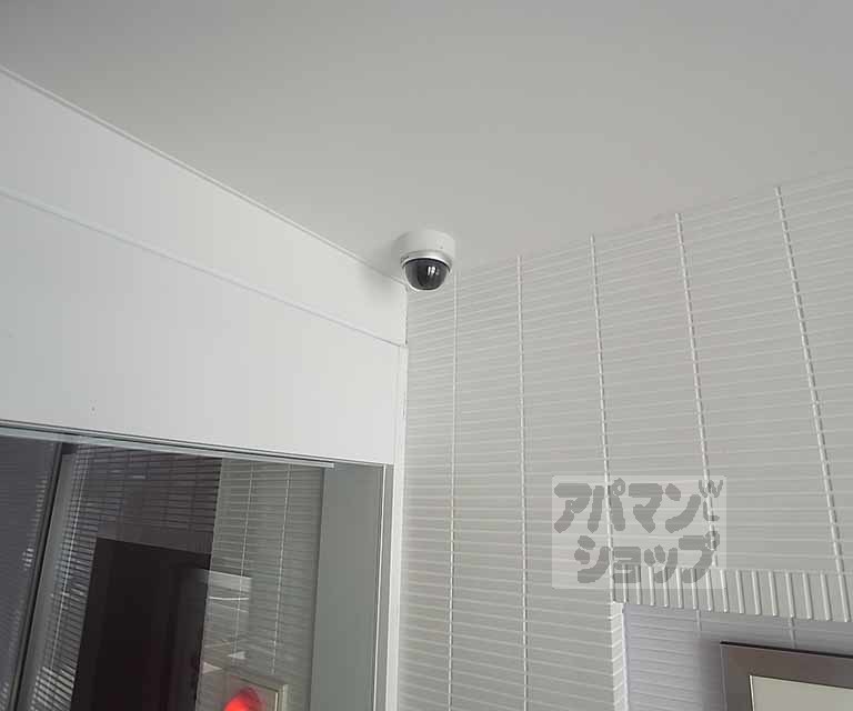 WHITE RADISHのその他写真