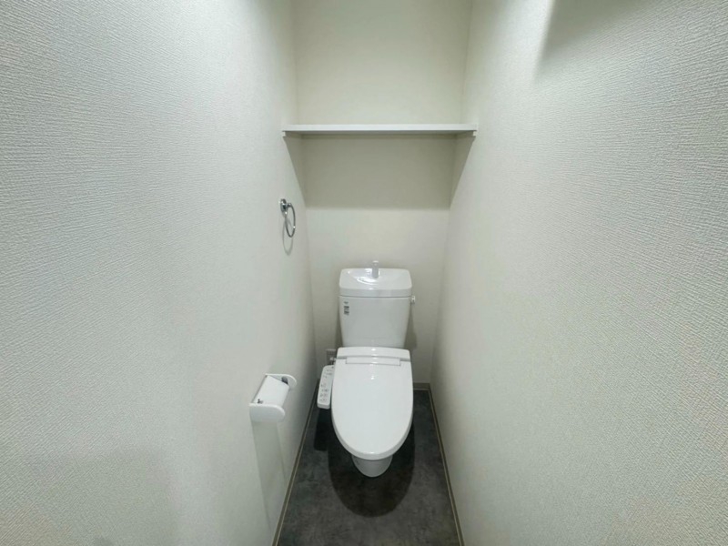ＪＲ東海道本線 岸辺駅 徒歩8分 3階建 築1年のトイレ写真