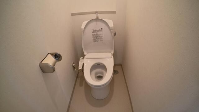 ＪＲ山手線 駒込駅 徒歩10分 4階建 築33年のトイレ写真