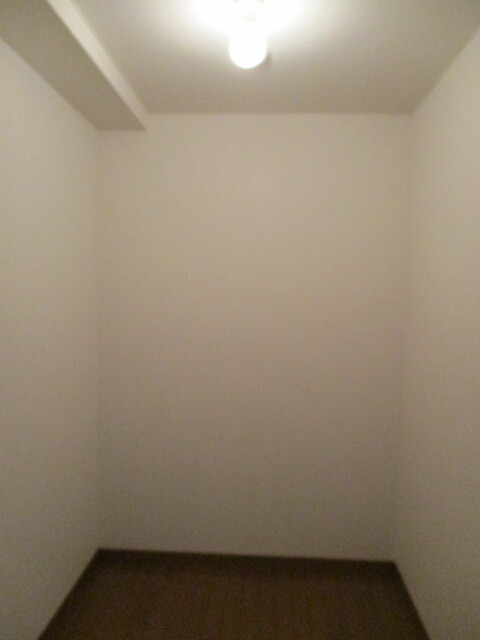 収納　北側洋室収納