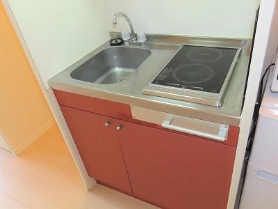 キッチン　2口の電気コンロまたはIHコンロとなります