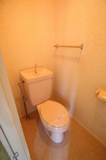 トイレ　※他号室の写真です