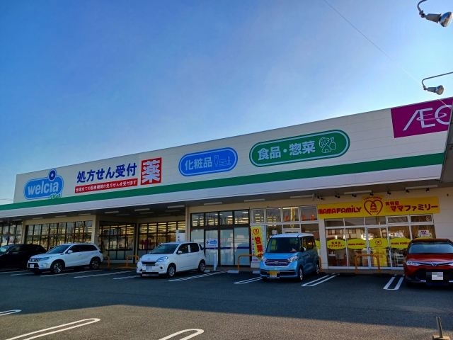 ドラックストア　ウエルシアプラス鳥栖蔵上店（ドラッグストア）まで590m