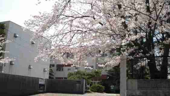 中学校　名古屋市立猪高中学校（中学校）まで687m