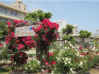 小学校　福山市立南小学校（小学校）まで585m