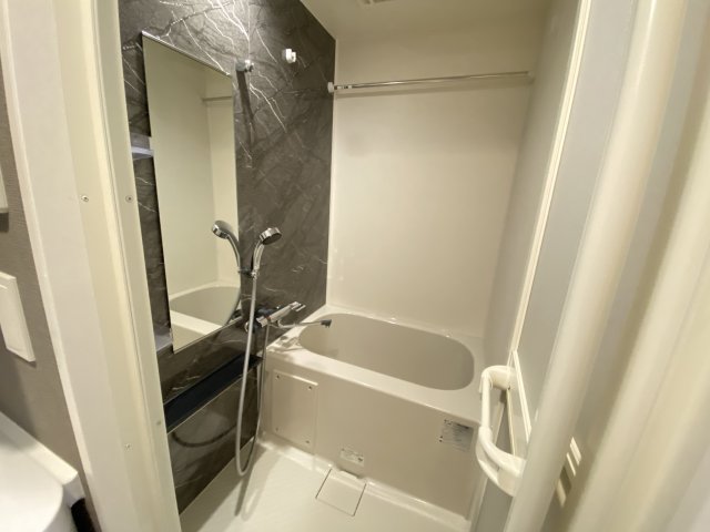 バス・シャワールーム　同一タイプです。