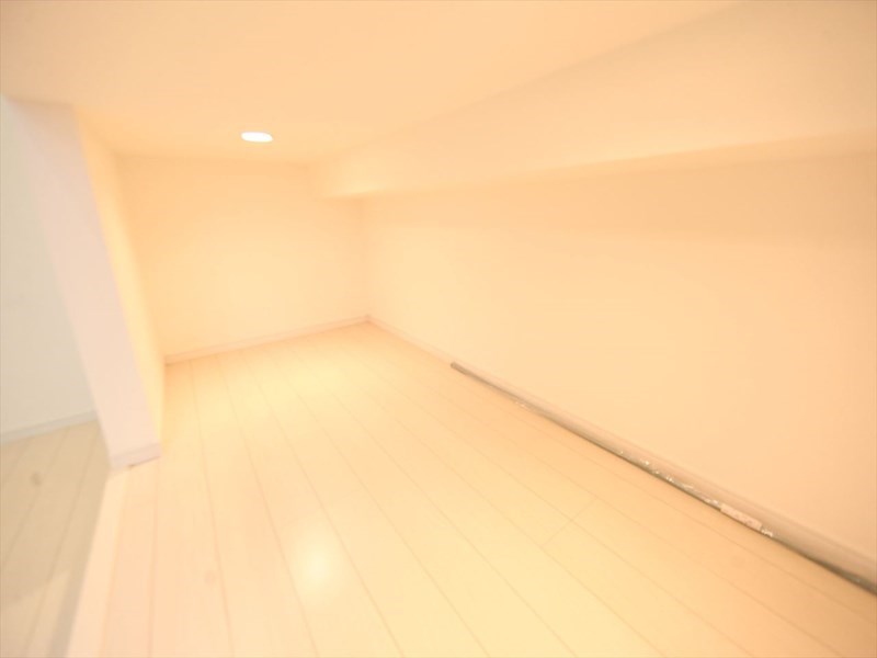 その他部屋・スペース　アンダーロフト4.6帖（収納としても寝室としても使えます）