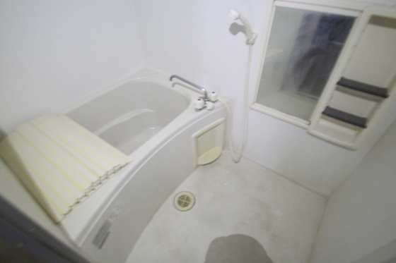 バス・シャワールーム　※別部屋の写真です