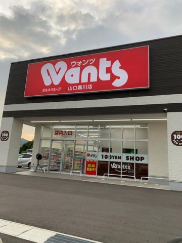 ドラックストア　ウォンツ嘉川店（ドラッグストア）まで1400m