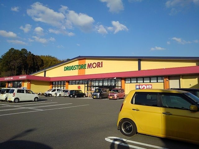 ドラックストア　ドラッグストアモリ田島店（ドラッグストア）まで1000m