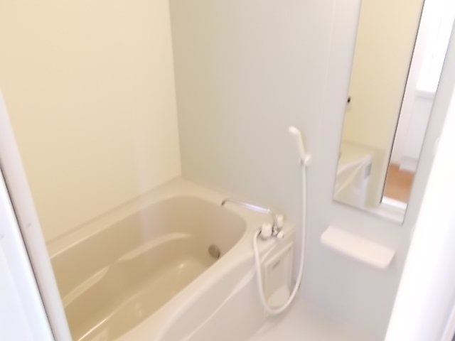 バス・シャワールーム　落ち着いた空間のお風呂です