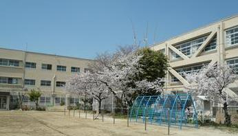 小学校　東大阪市立布施小学校（小学校）まで866m