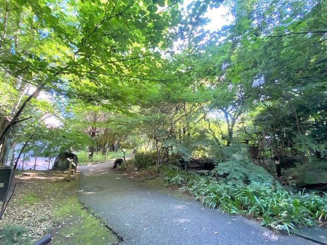 その他　等々力緑地至近