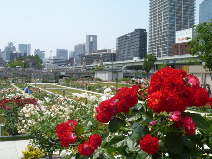 公園　靭公園（公園）まで10m