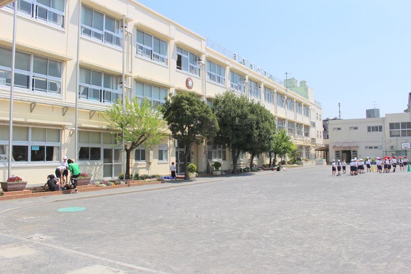 小学校　横浜市立日吉台小学校（小学校）まで1790m