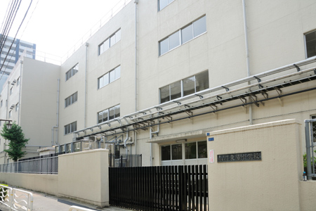 小学校　江東区立東陽小学校（小学校）まで248m