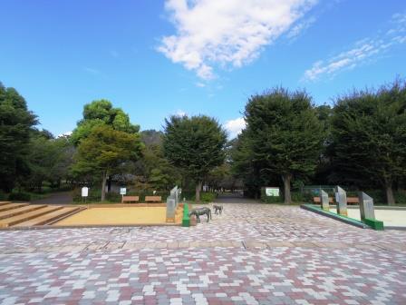 公園　都立大泉中央公園（公園）まで605m