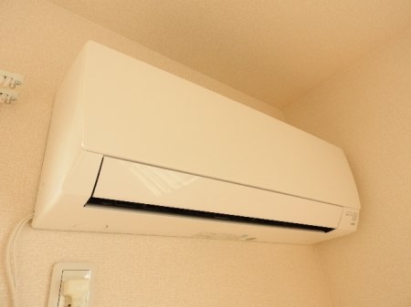 はなあずみのその他写真