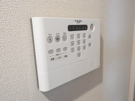 はなあずみのその他写真