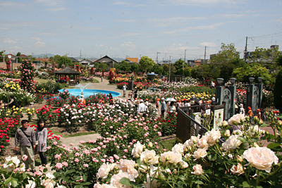 公園　若園公園（公園）まで1397m