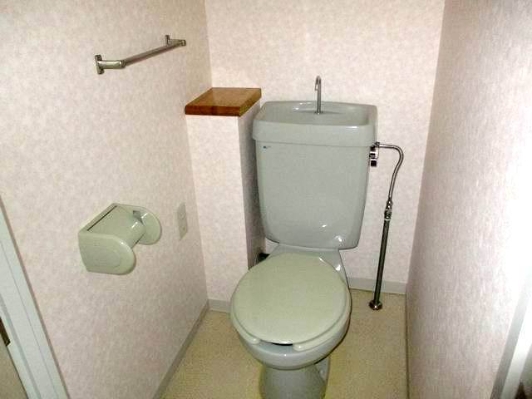 都営大江戸線 光が丘駅 徒歩9分 3階建 築33年のトイレ写真