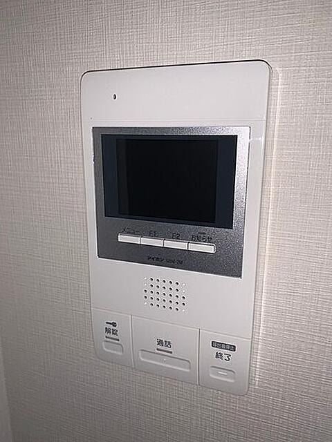 あじさいのその他写真