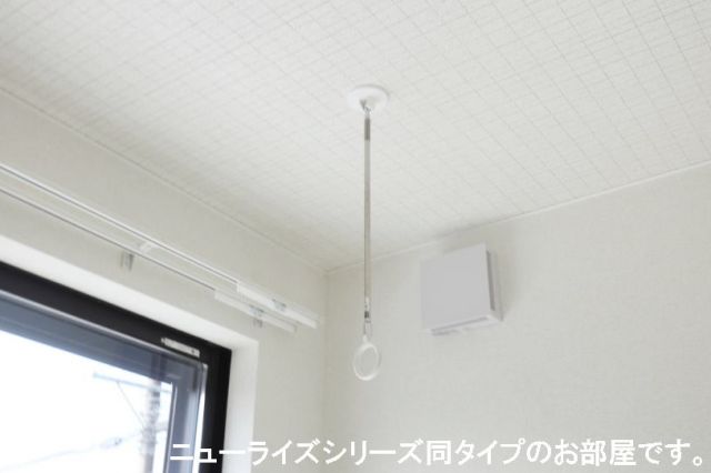 セレニアのその他写真