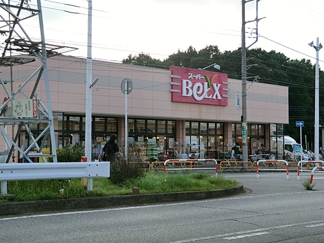 スーパー　ベルクス柏つくしが丘店（スーパー）まで600m