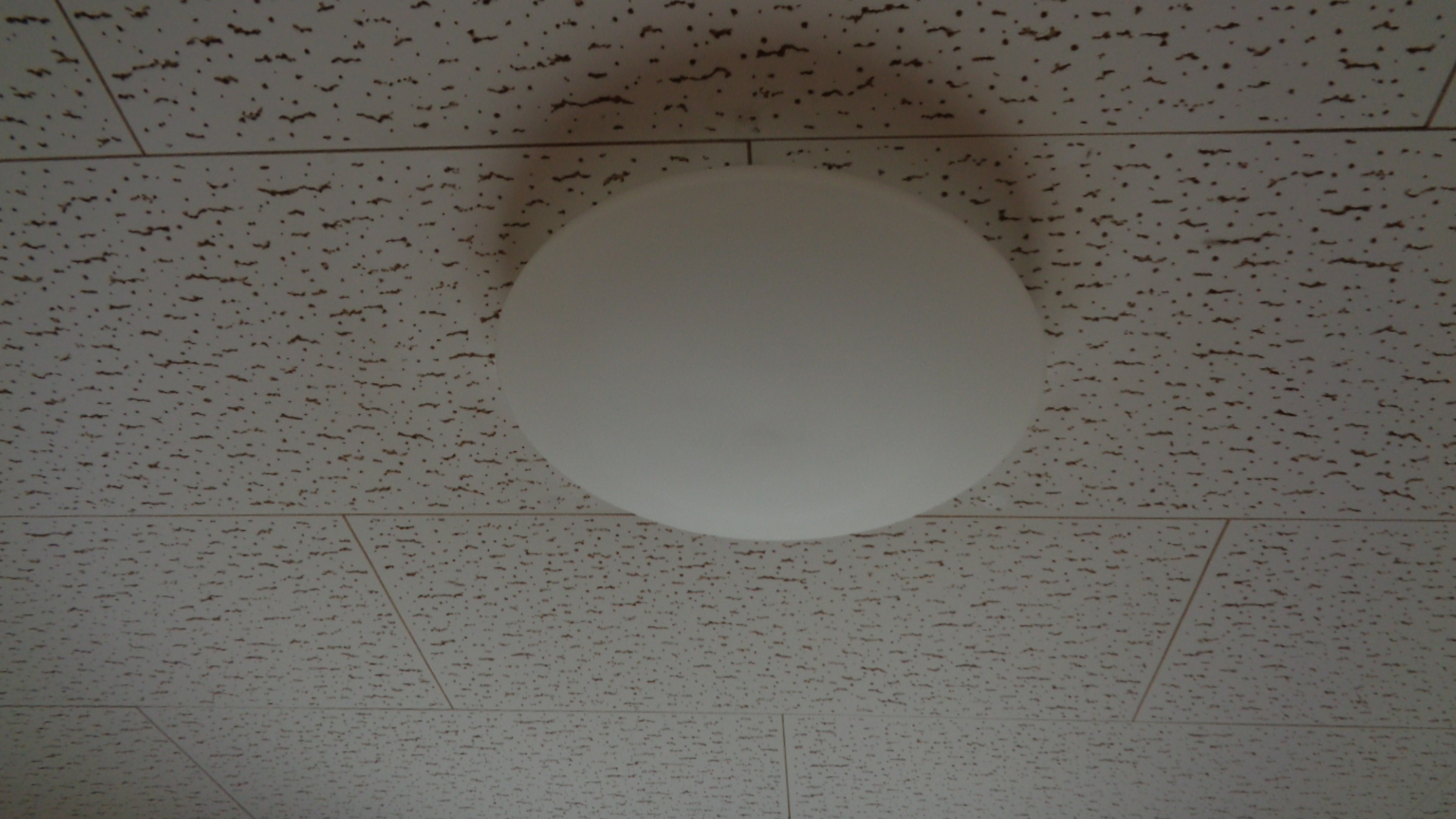 その他設備　照明