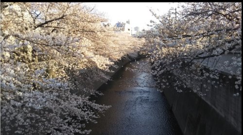 【グランヴァン高田馬場の公園】