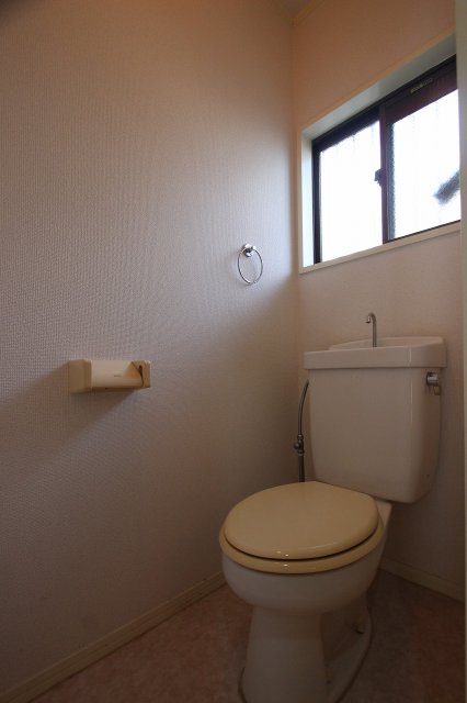 トイレ　同物件、別号室のものです。