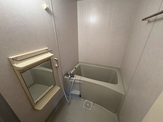 バス・シャワールーム　※別部屋の写真です