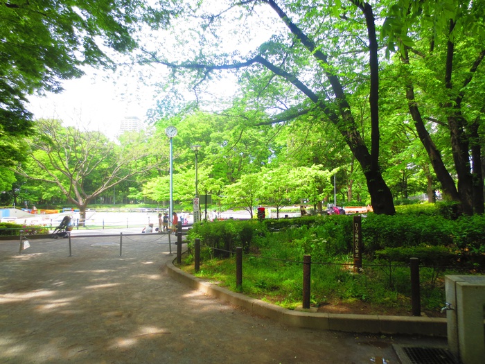 公園　新宿中央公園（公園）まで130m