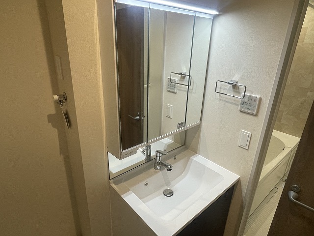 洗面設備　シャンプードレッサー　鏡裏収納有