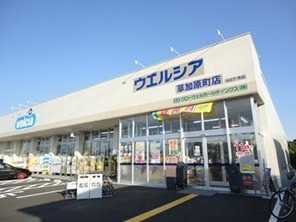 ドラックストア　ウエルシア草加原町店（ドラッグストア）まで280m