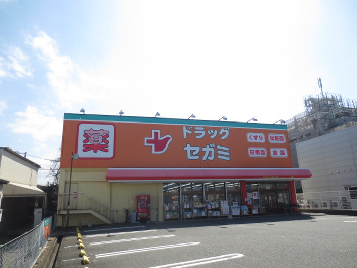 ドラックストア　セガミ薬局（ドラッグストア）まで1190m