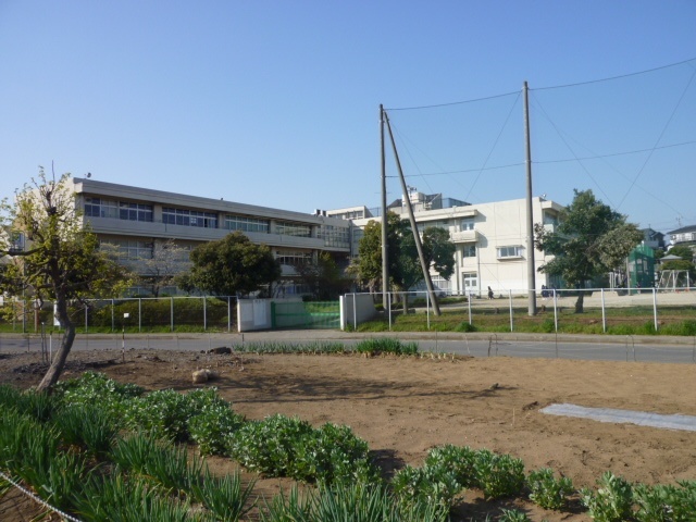 中学校　八千代市立東高津中学校（中学校）まで922m