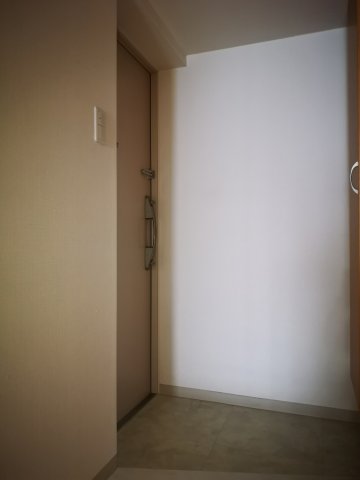 玄関　落ち着いた玄関です