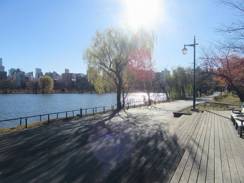 公園　上野恩賜公園（公園）まで1309m