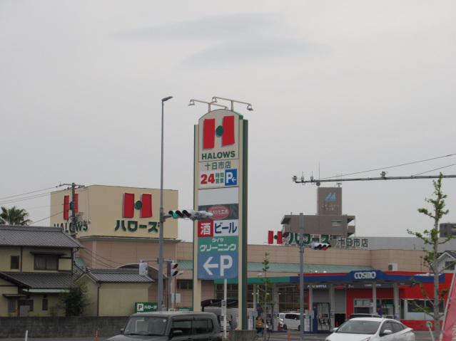 スーパー　ハローズ十日市店（スーパー）まで594m